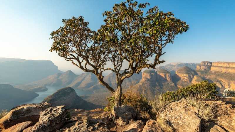 10 tips for visiting south africa on a budget ea055dd