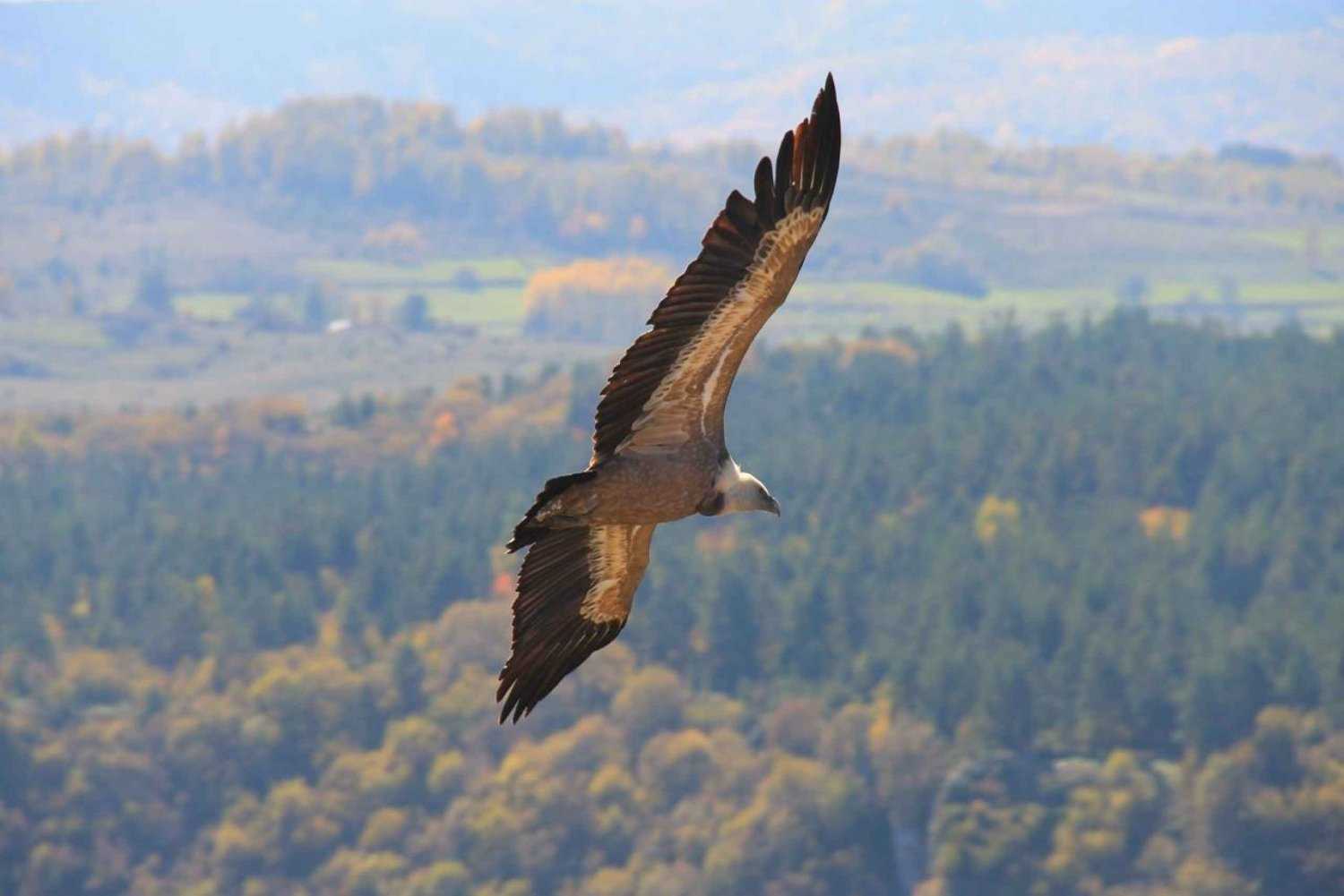 from belgrade uvac nature reserve tour 2725916