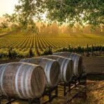 kakoy vinodelcheskiy region kalifornii predlagaet nailuchshie vina