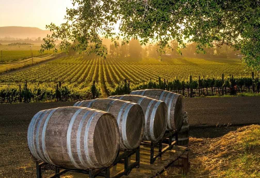 kakoy vinodelcheskiy region kalifornii predlagaet nailuchshie vina