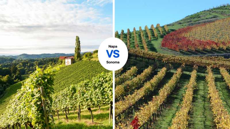 Napa or Sonoma: which California wine region offers superior sipping?