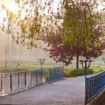 the 10 best parks in prague 5beae9c