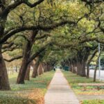 the 11 best things to do in houston 570e5c2