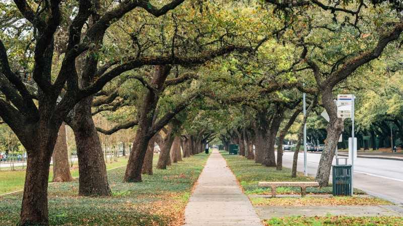 the 11 best things to do in houston 570e5c2