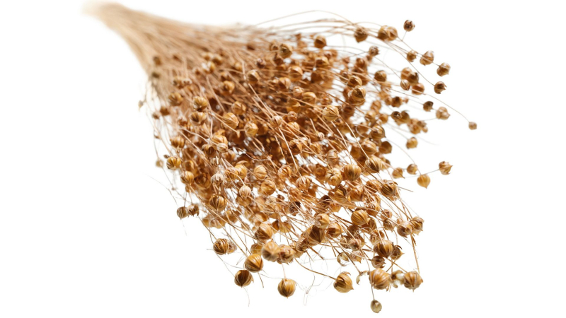 BMW заменяет природное покрытие растениями 5 BMW Is Replacing Carbon Fiber With Plants