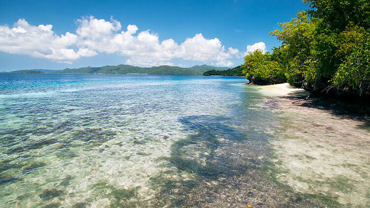 Полный путеводитель по Раджа Ампат 7 The ultimate guide to Raja Ampat