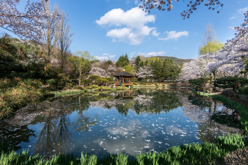 15 главных развлечений Кен в Джу, Южная Корея