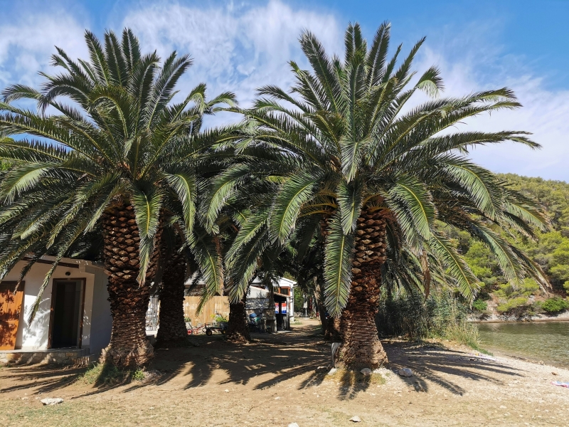 16 лучших мест для посещения в Хорватии с точек зрения замков, побережий и городов