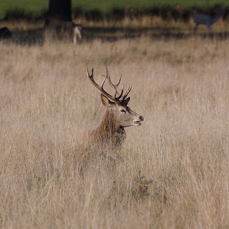 9 причин, почему этим летом вам нужно срочно отправиться в путешествие 8 9 отличных причин для путешествий в летний сезон