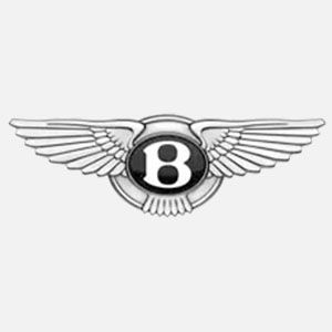 Кастомизация - это бесшумный ход взгляда Bentley 3 Кастомизация — это бесшумный ход взгляда Bentley